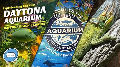 daytona aquarium ticket prices|daytona aquarium opening times.